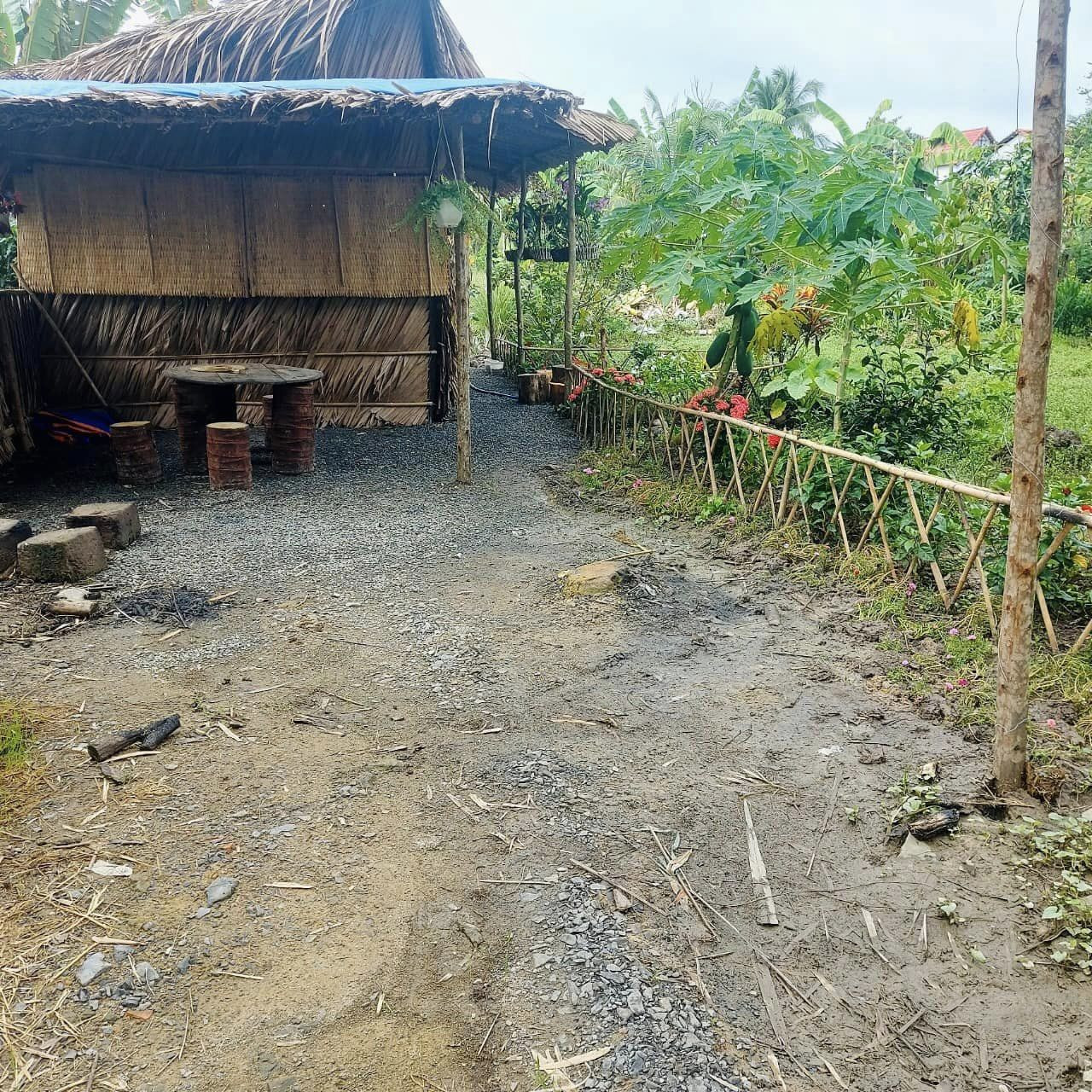 377765487 152981301194166 5879381124275865962 n.jpg