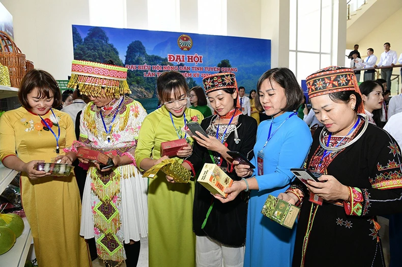 anh-4-24-6312-jpg Hiệu quả công nghệ số ở Tuyên Quang ảnh 1