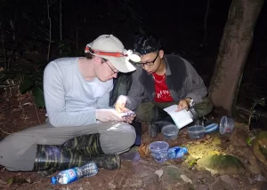 Tiến sĩ Ngô Ngọc Hải (người bên phải) cùng chuyên gia nghiên cứu người nước ngoài trong một chuyến khảo sát thực địa.