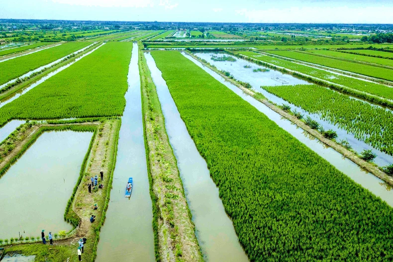 Gắn kết phát triển du lịch Thành phố Hồ Chí Minh với vùng châu thổ Cửu Long ảnh 2