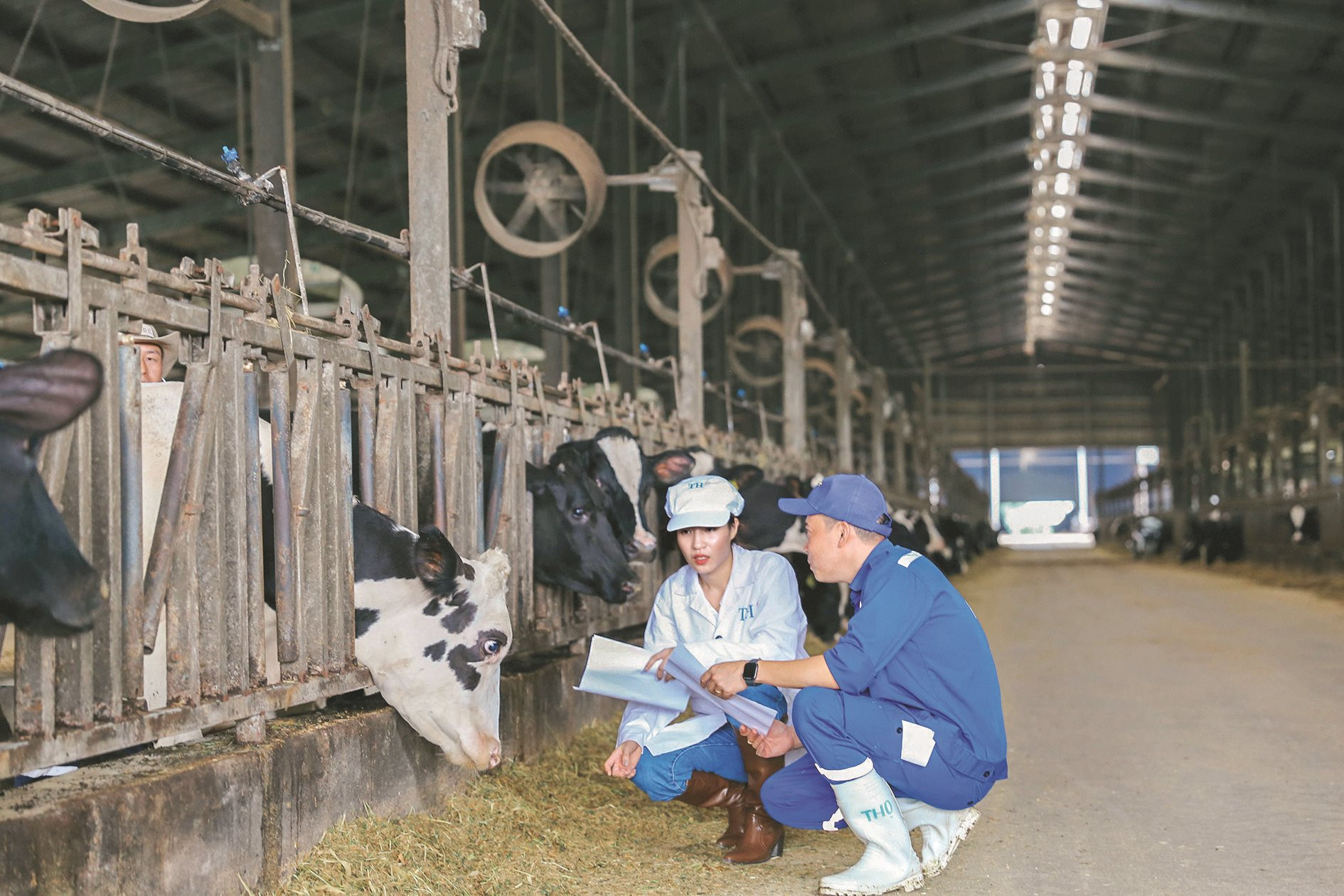 tru-cot-6-phuc-loi-dong-vat